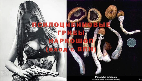 соль ск Киреевск