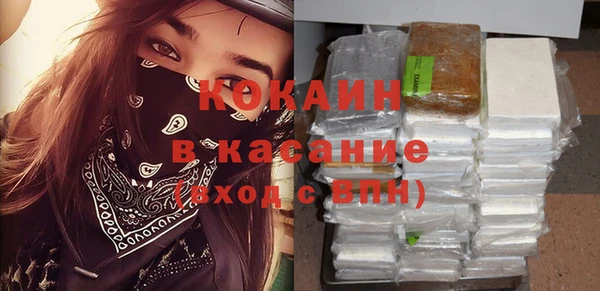 спиды Каменка