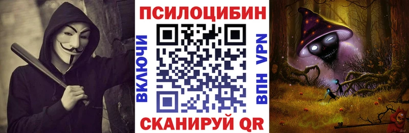 Псилоцибиновые грибы Cubensis  Называевск 