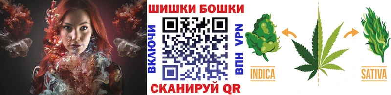 Бошки Шишки план  купить наркотик  Называевск 